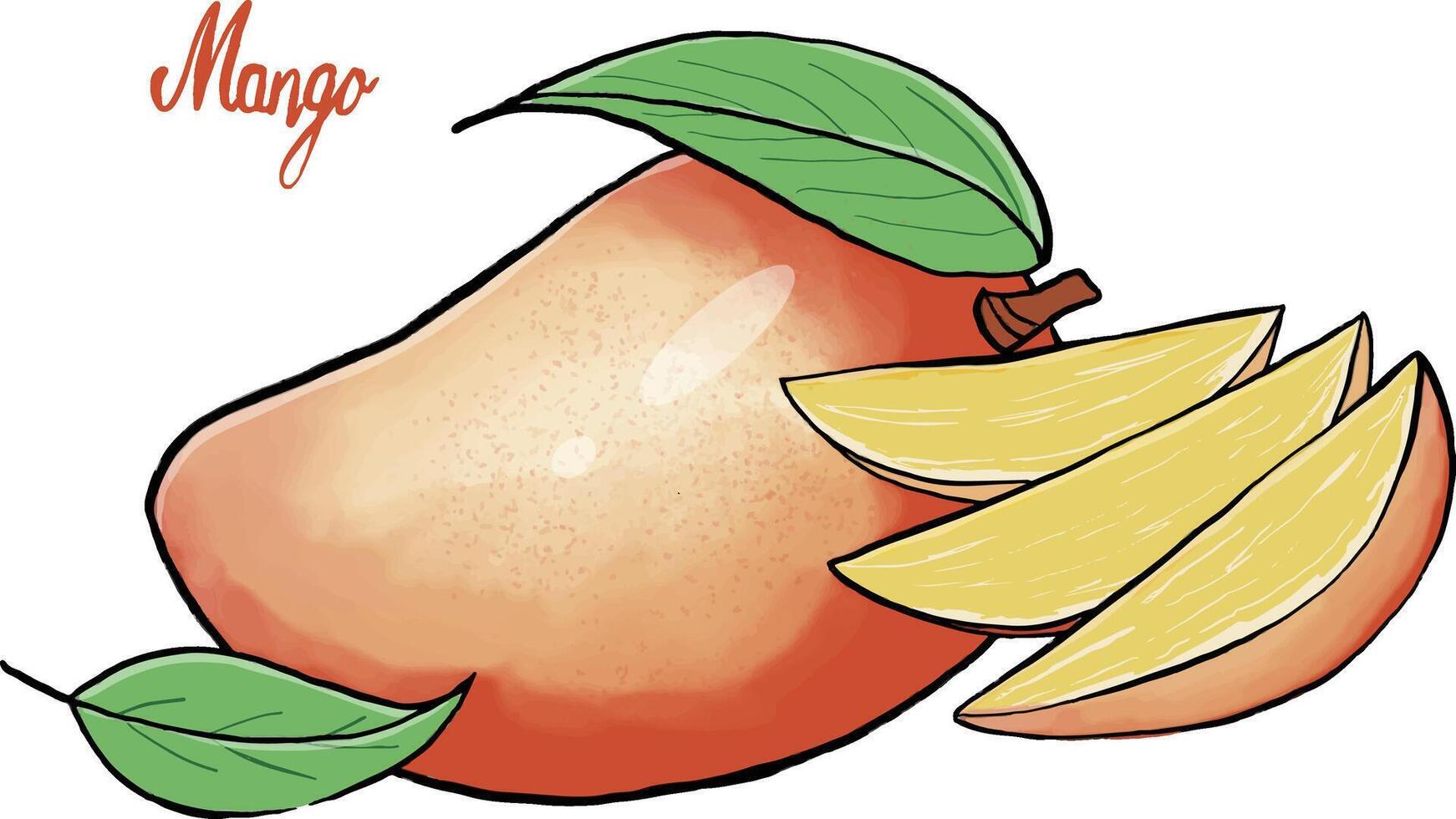the yellow mango vector