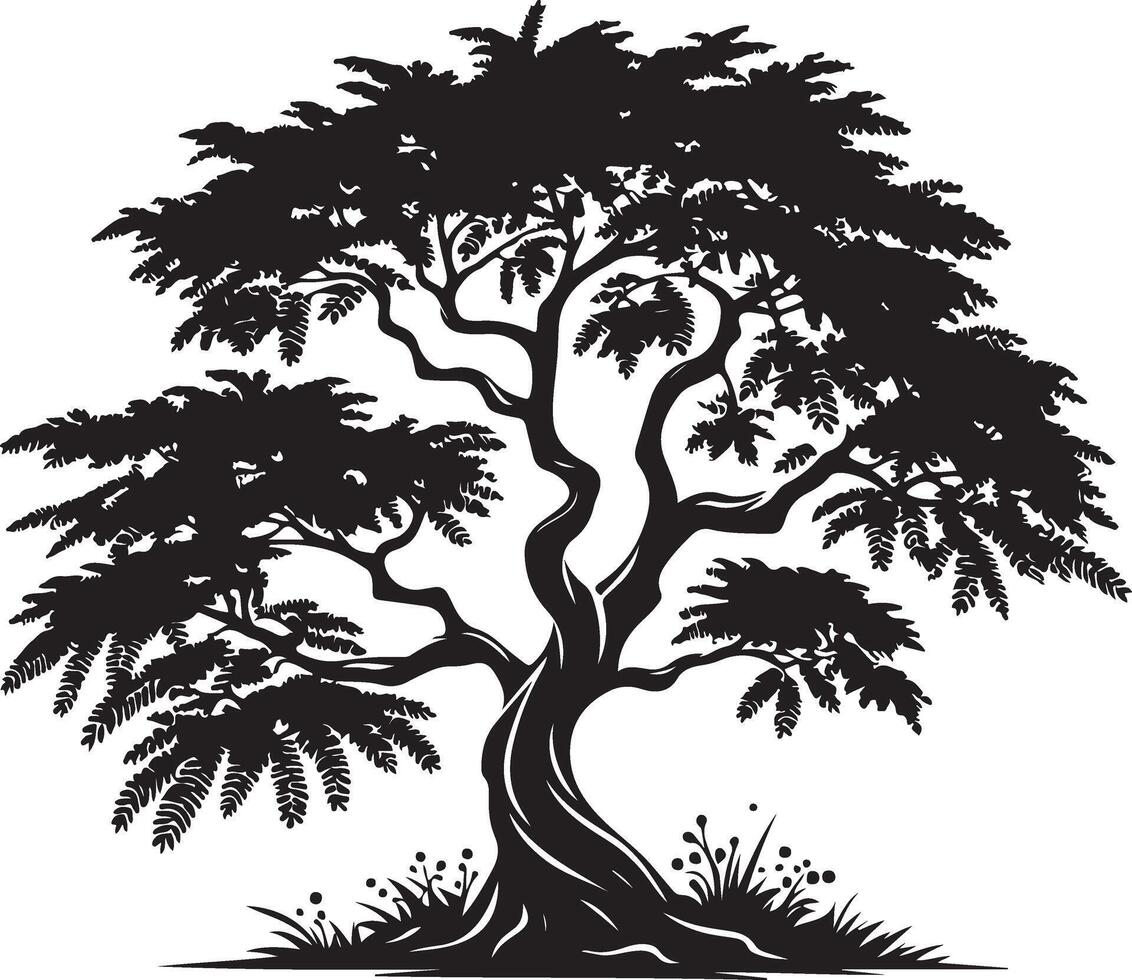 Tamarind Tree, black color silhouette 46458802 Vector Art at Vecteezy