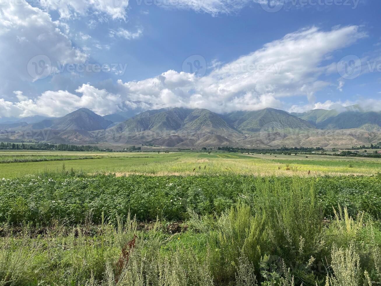 Mountains of Kyrgyzstan. Beautiful sunny day in the mountains. Blue sky with clouds. Green meadows. Lots of greenery. A tourist route. Beautiful view of the mountains. Central Asia, Kyrgyzstan. photo