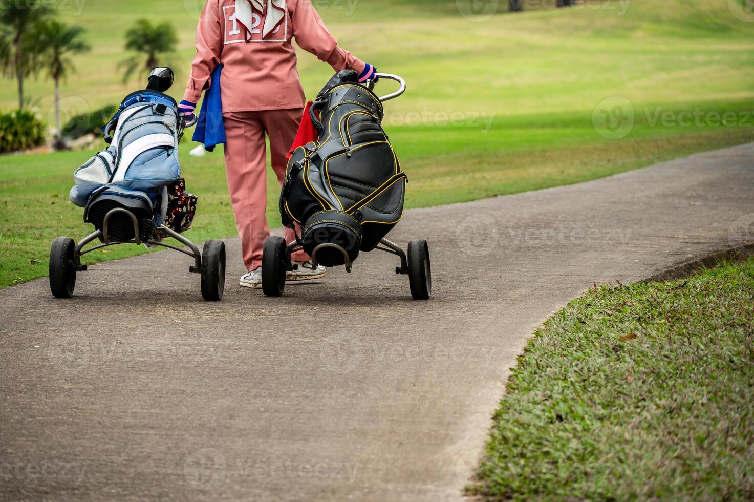 Female caddy pulling player's bag and clubs for support her customer in the golf course. photo