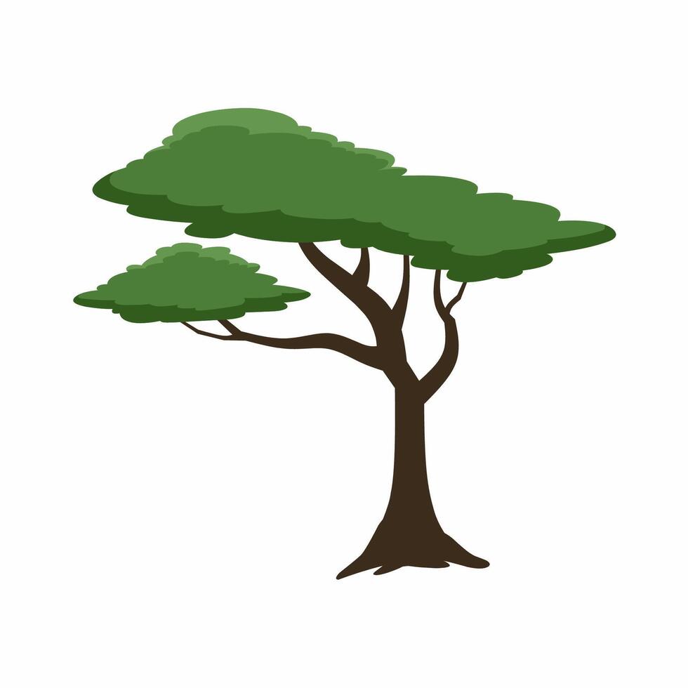 Rainforest tree icon for tropical, exotic or jungle vector