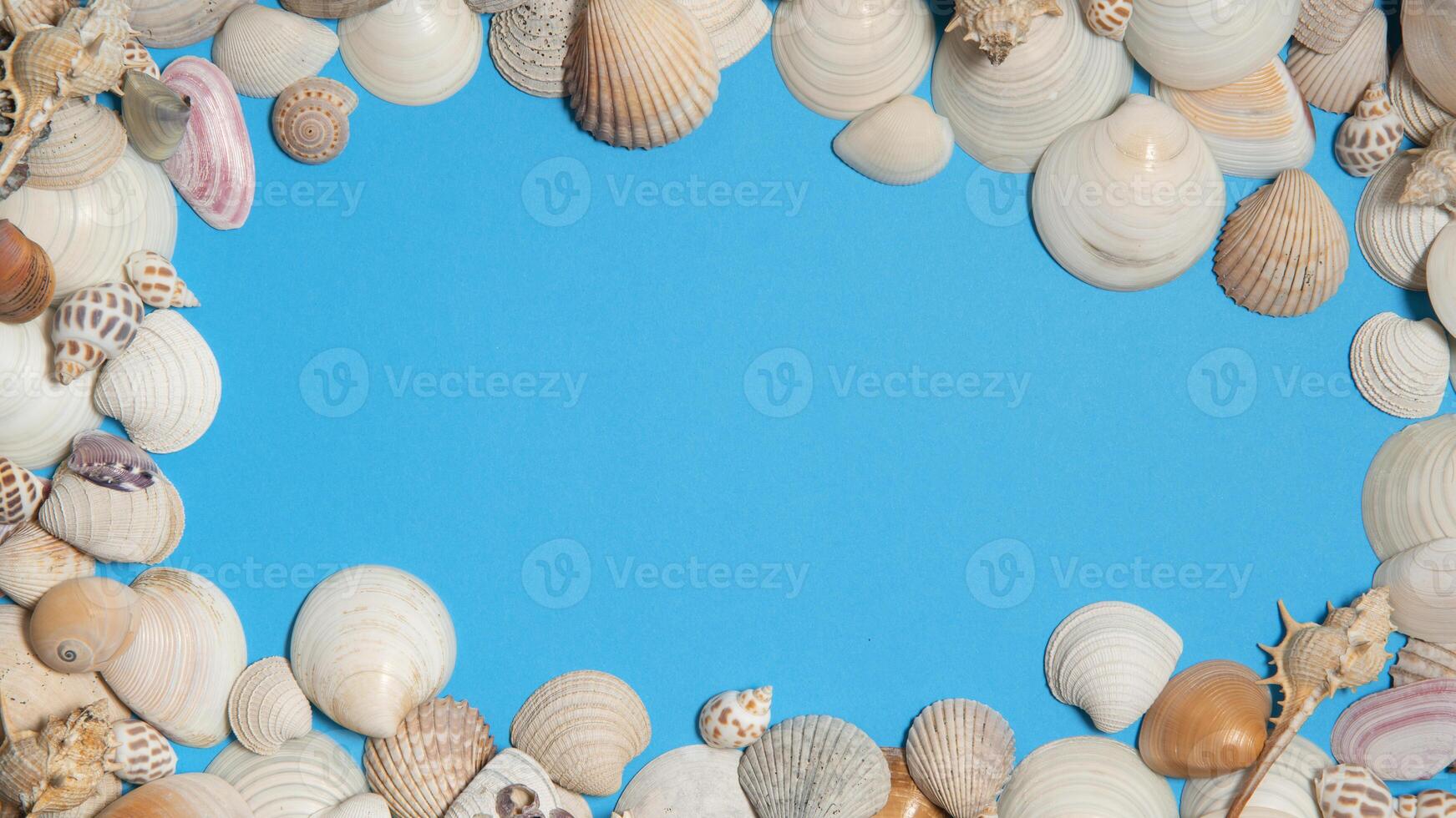 Sea shells forming a frame on a blue surface photo