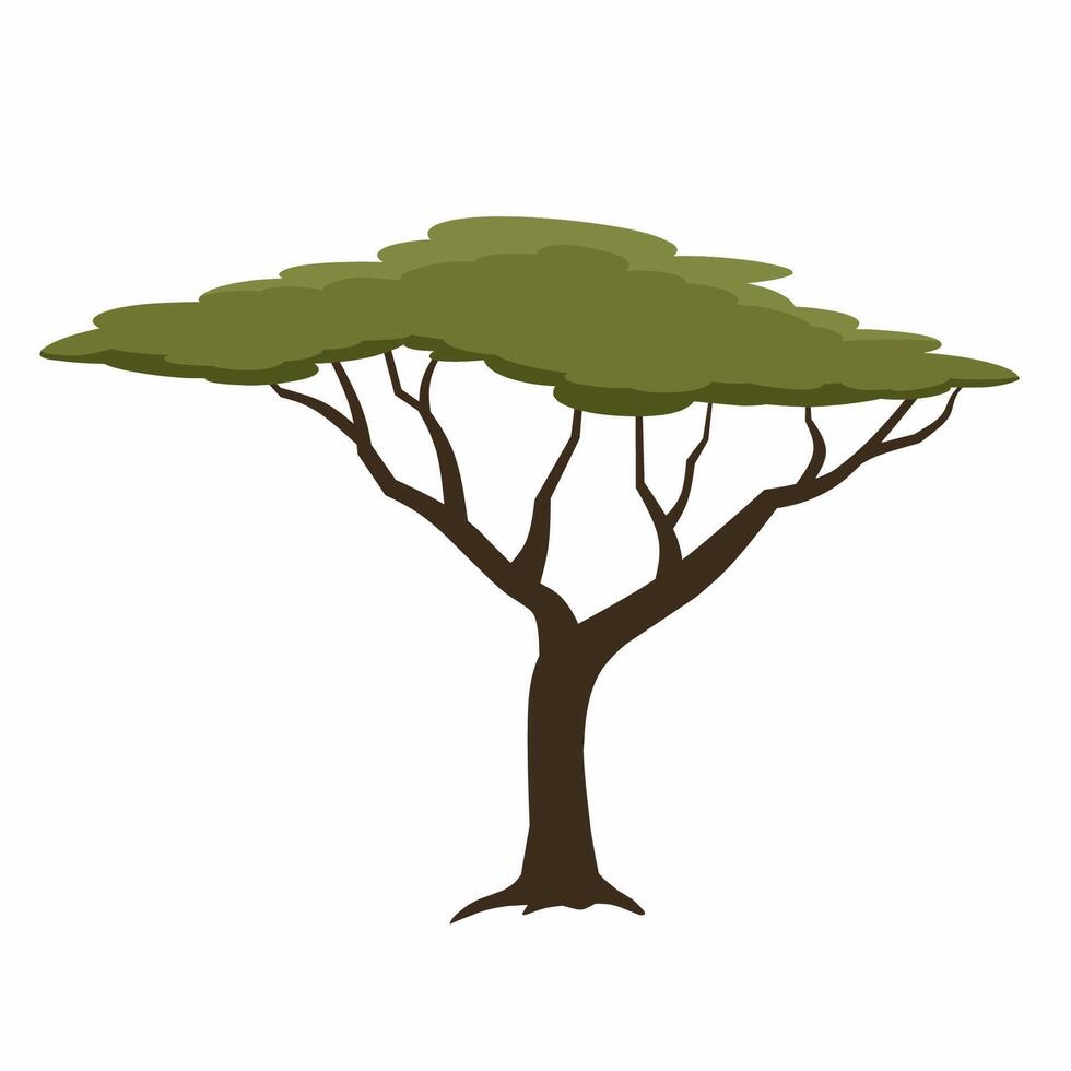 African tree icon for savanna, safari or sahara desert vector