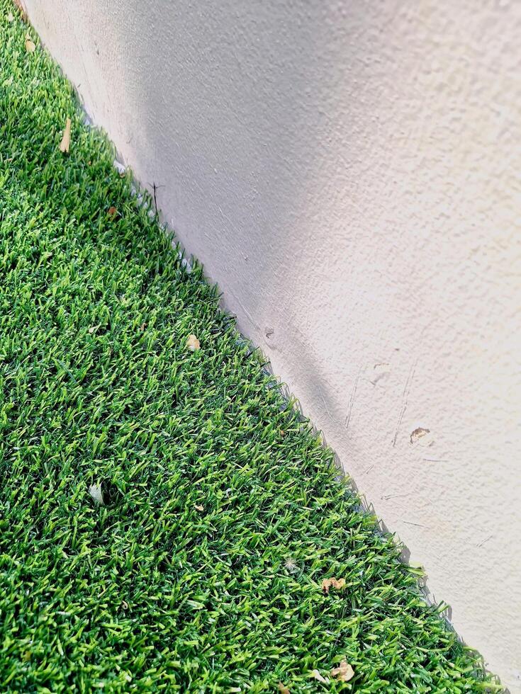 Close up of the beautiful two-tone background. photo