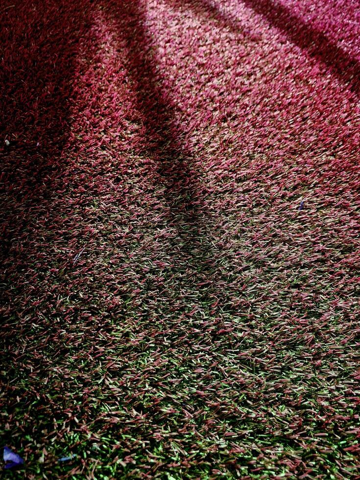 Adjusting the color of the grass for background work. photo