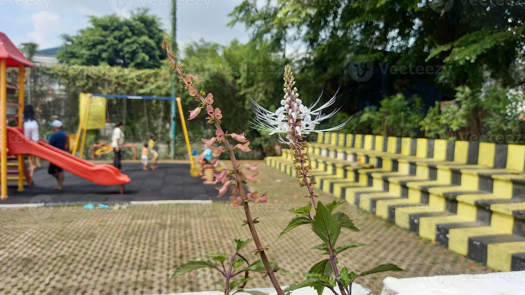 a flower in a vase on a playground photo