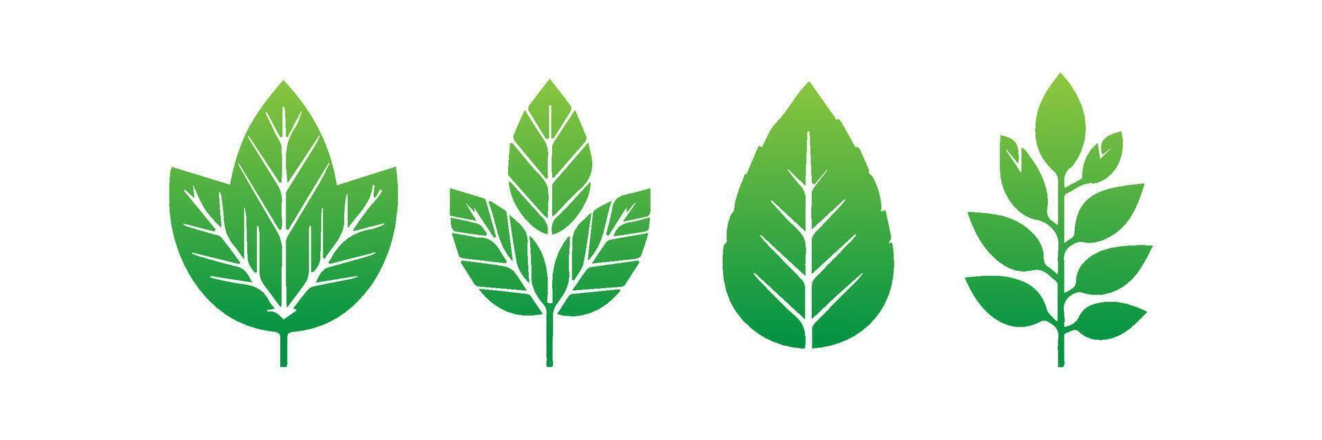 Green leaf icons set. Leaves icon on isolated background. Collection green leaf. Elements design for natural, eco, vegan, bio labels vector