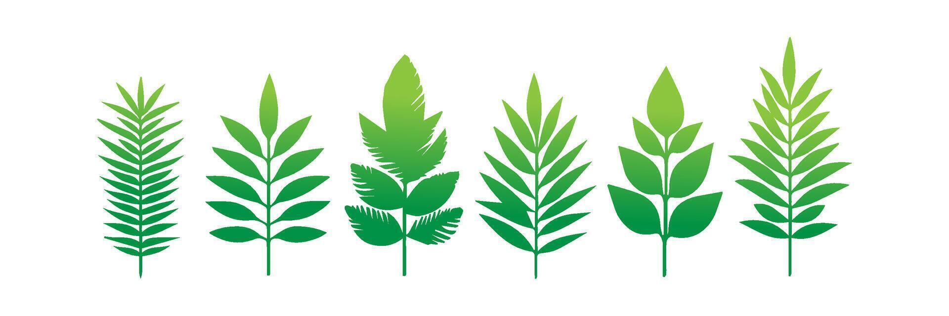 Green leaf icons set. Leaves icon on isolated background. Collection green leaf. Elements design for natural, eco, vegan, bio labels vector
