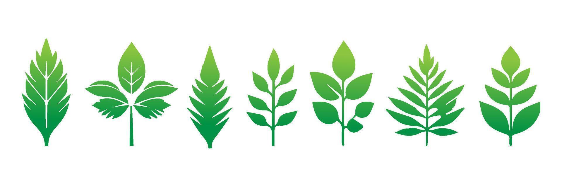 Green leaf icons set. Leaves icon on isolated background. Collection green leaf. Elements design for natural, eco, vegan, bio labels vector