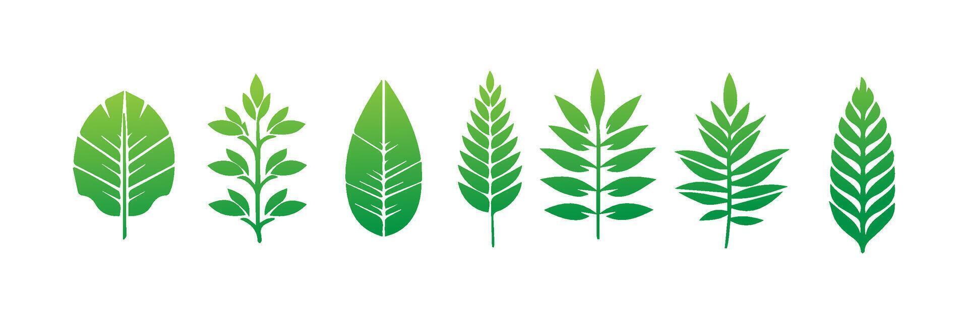 Green leaf icons set. Leaves icon on isolated background. Collection green leaf. Elements design for natural, eco, vegan, bio labels vector