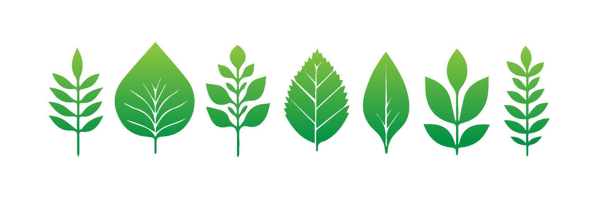 Green leaf icons set. Leaves icon on isolated background. Collection green leaf. Elements design for natural, eco, vegan, bio labels vector
