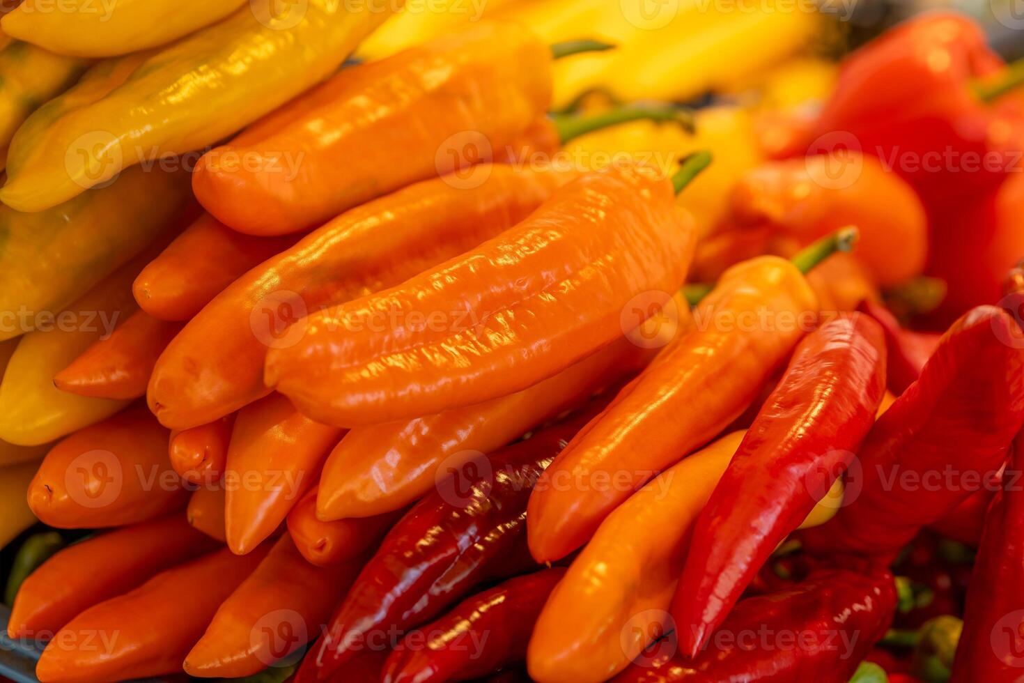 pile of red and orange chili photo
