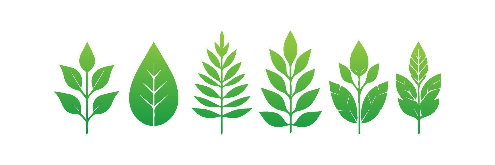 Green leaf icons set. Leaves icon on isolated background. Collection green leaf. Elements design for natural, eco, vegan, bio labels vector