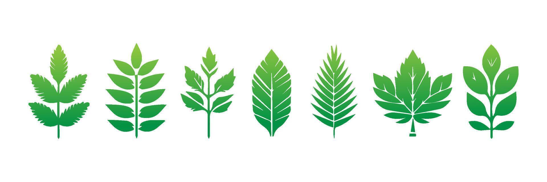 Green leaf icons set. Leaves icon on isolated background. Collection green leaf. Elements design for natural, eco, vegan, bio labels vector
