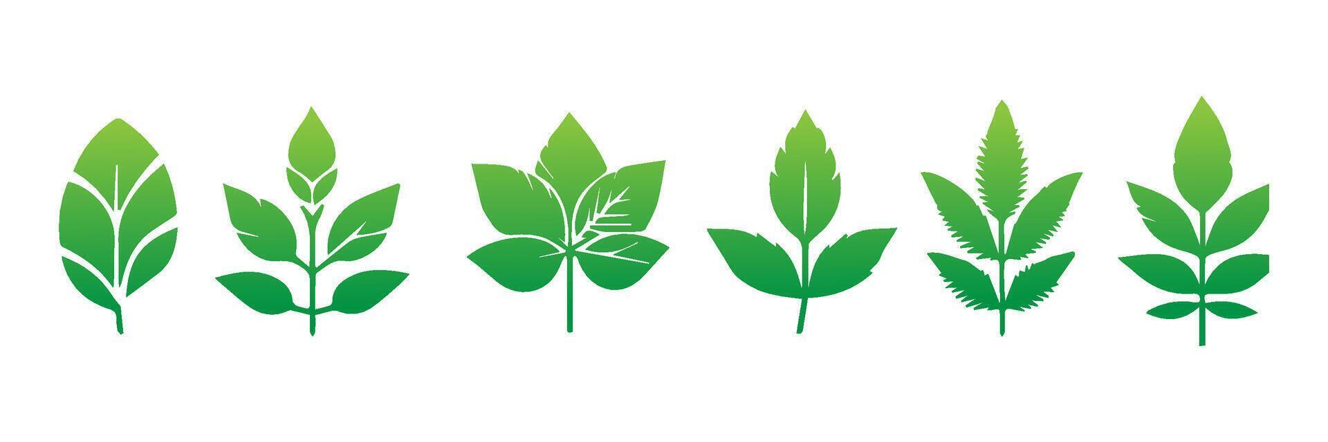 Green leaf icons set. Leaves icon on isolated background. Collection green leaf. Elements design for natural, eco, vegan, bio labels vector