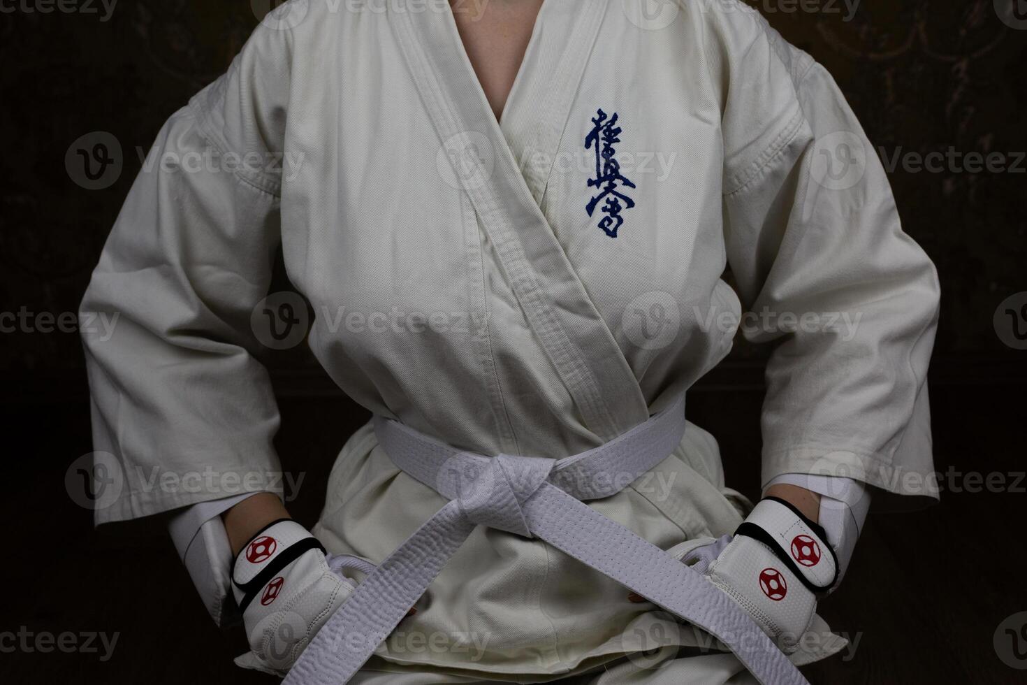 Young woman in kimono in Kyokushinkai karate sits in traditional Japanese seiza pose photo