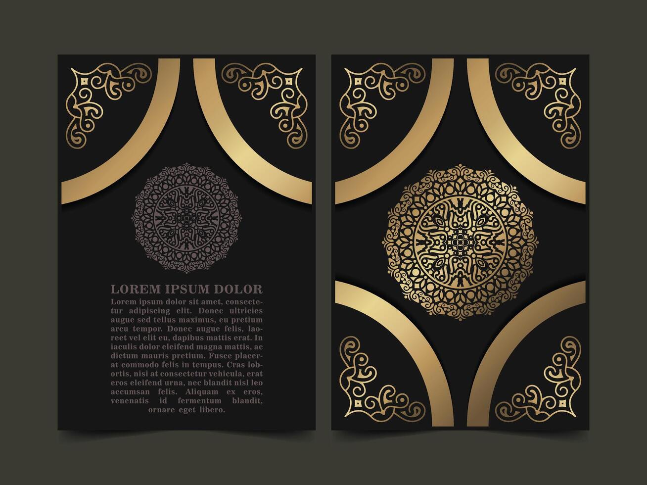 luxury cover background with mandala texture vector