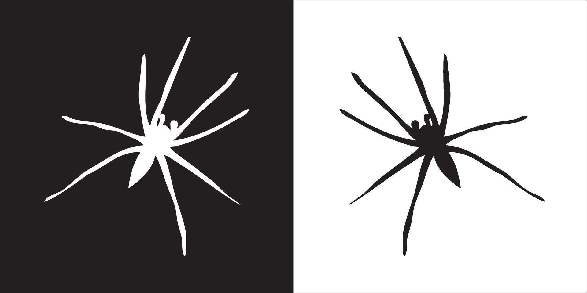 Illustration graphics of spider icon vector