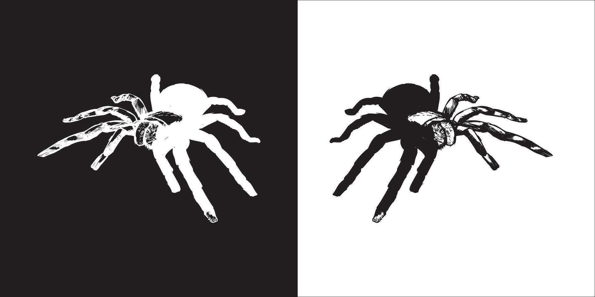 Illustration graphics of spider icon vector