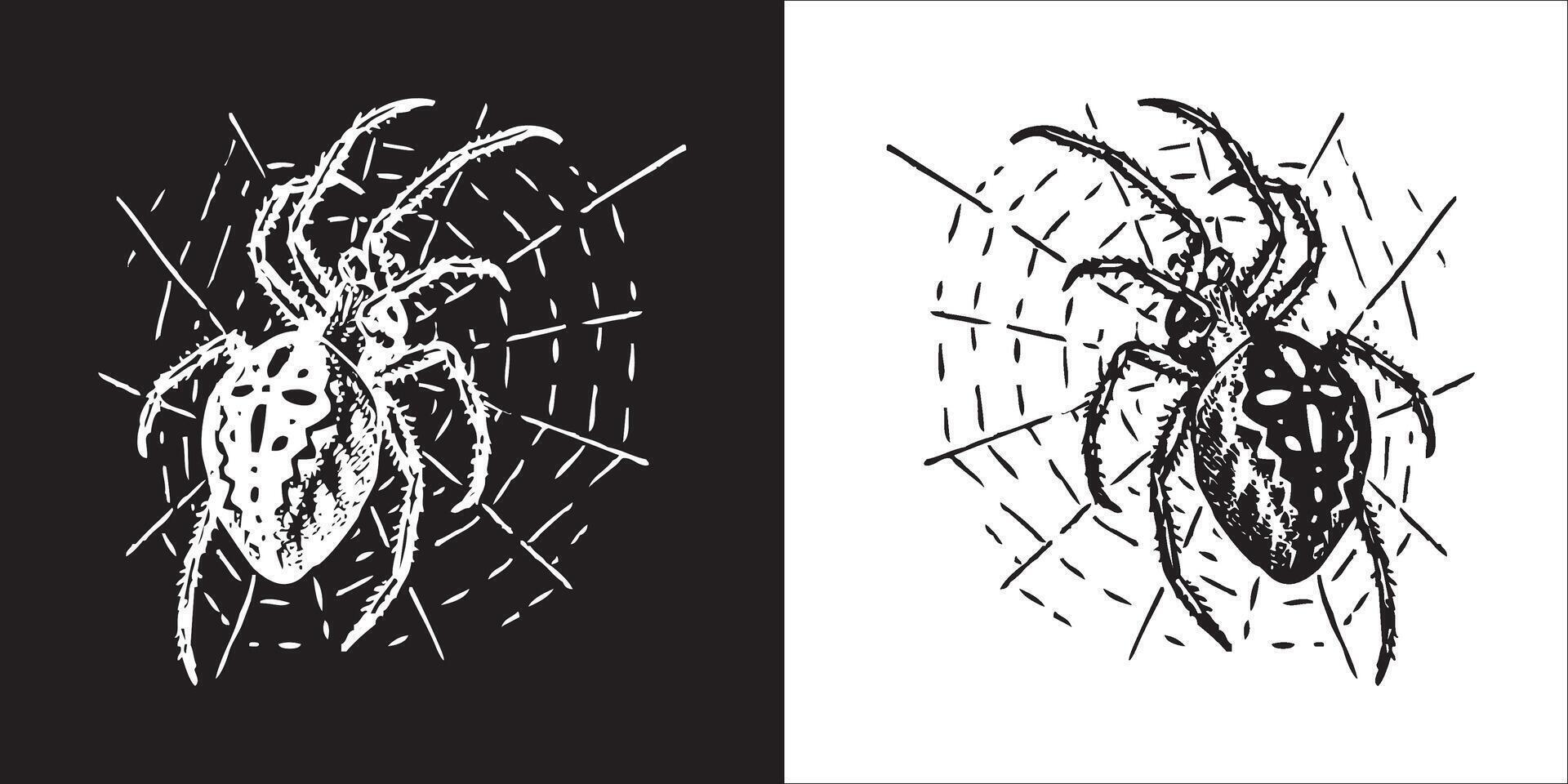 Illustration graphics of spider icon vector