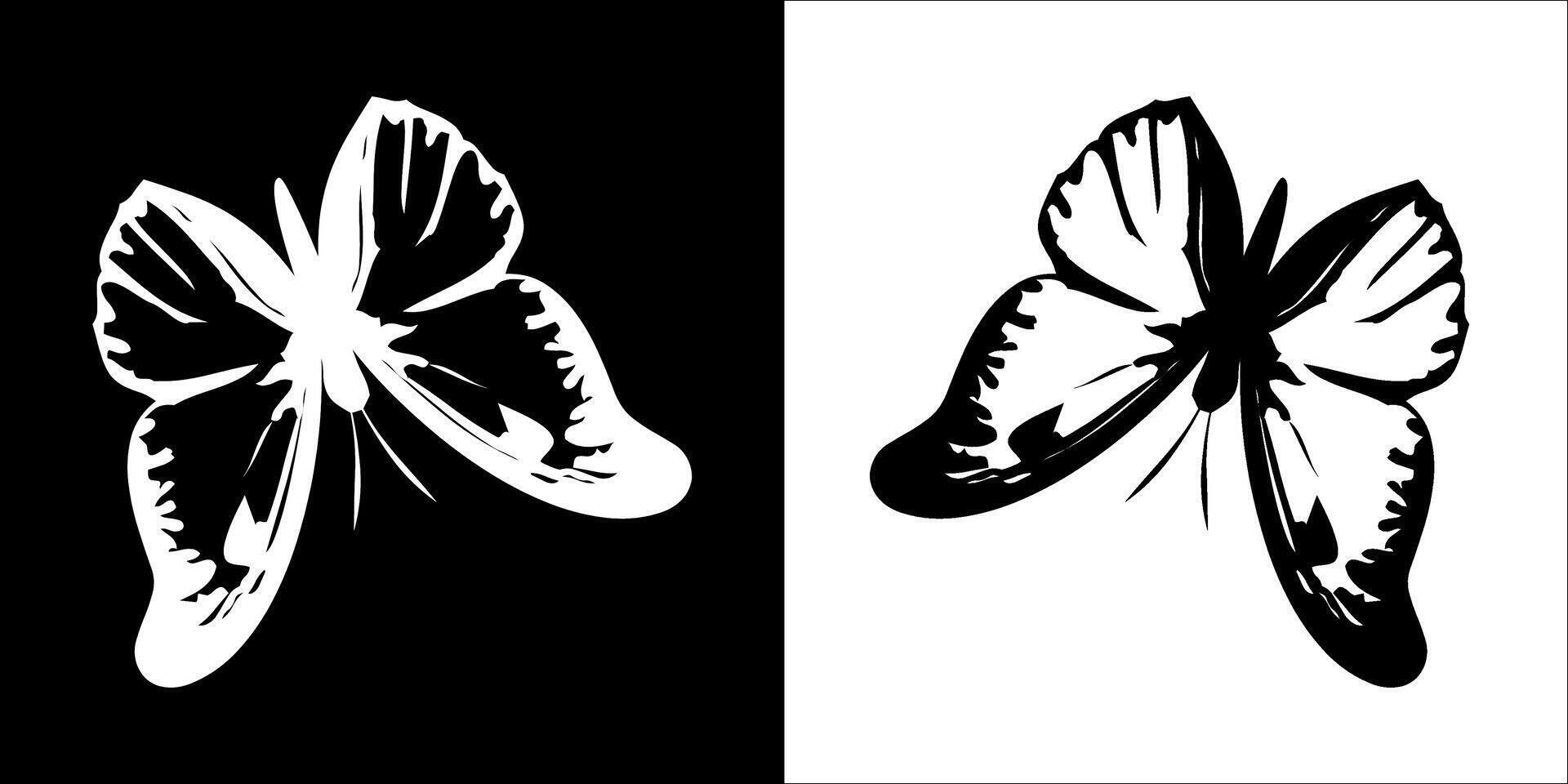 Illustration graphics of butterfly icon vector