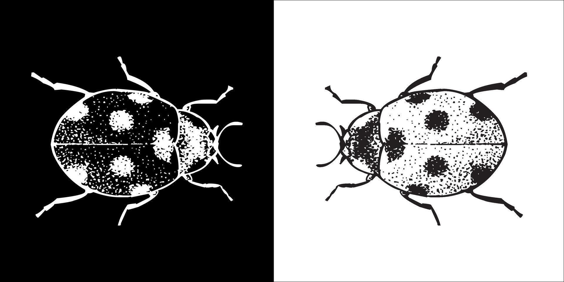 Illustration graphics of insect icon vector