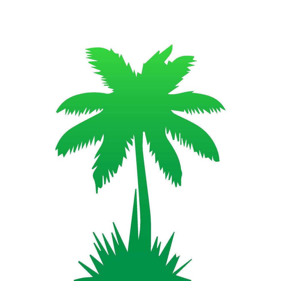 Green palm tree isolated on white background. Palm silhouette vector