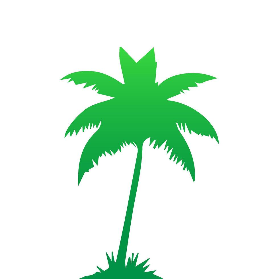 Green palm tree isolated on white background. Palm silhouette vector