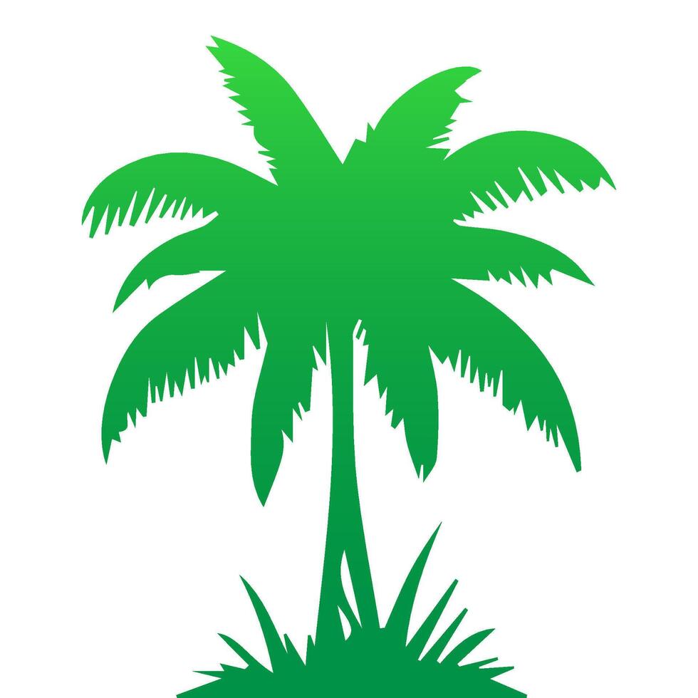 Green palm tree isolated on white background. Palm silhouette vector