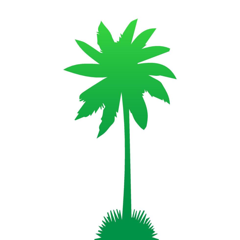 Green palm tree isolated on white background. Palm silhouette vector