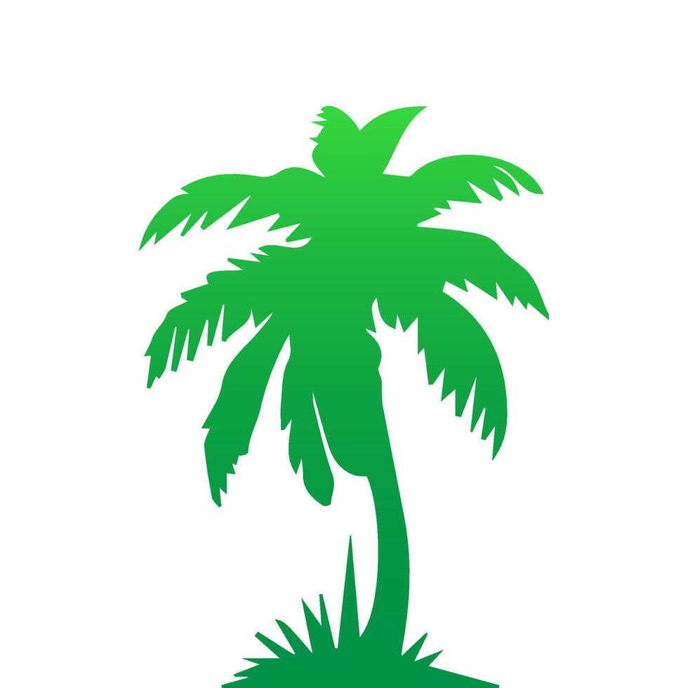 Green palm tree isolated on white background. Palm silhouette vector