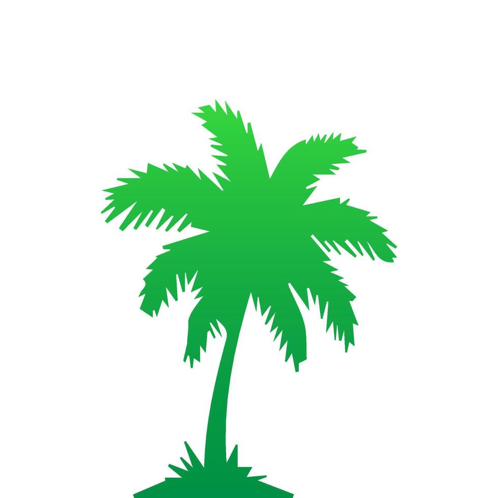 Green palm tree isolated on white background. Palm silhouette vector