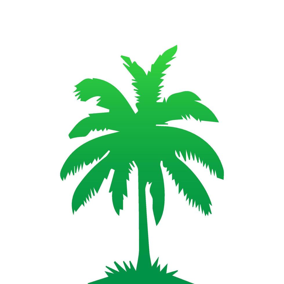 Green palm tree isolated on white background. Palm silhouette vector