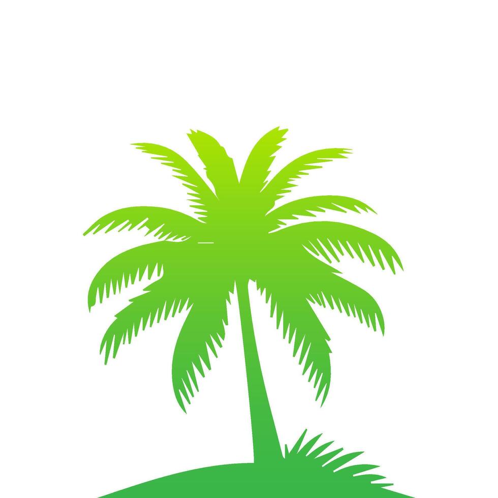 Green palm tree isolated on white background. Palm silhouette vector