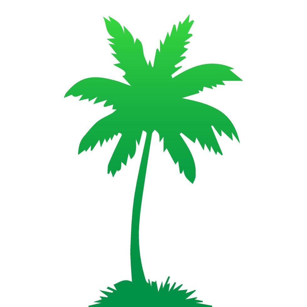 Green palm tree isolated on white background. Palm silhouette vector