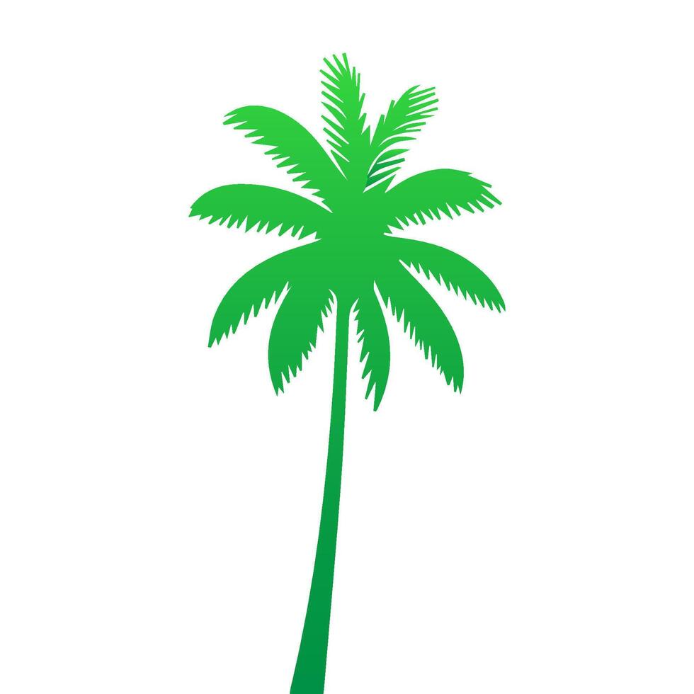 Green palm tree isolated on white background. Palm silhouette vector