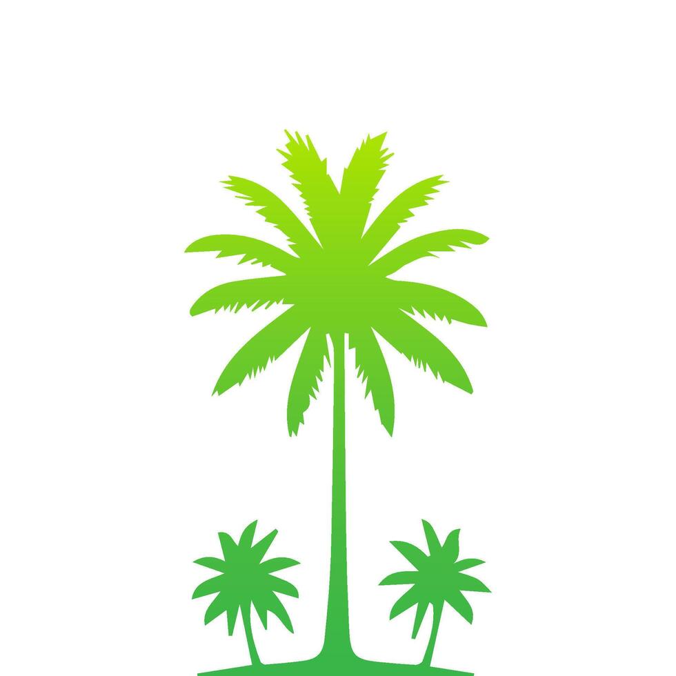 Green palm tree isolated on white background. Palm silhouette vector