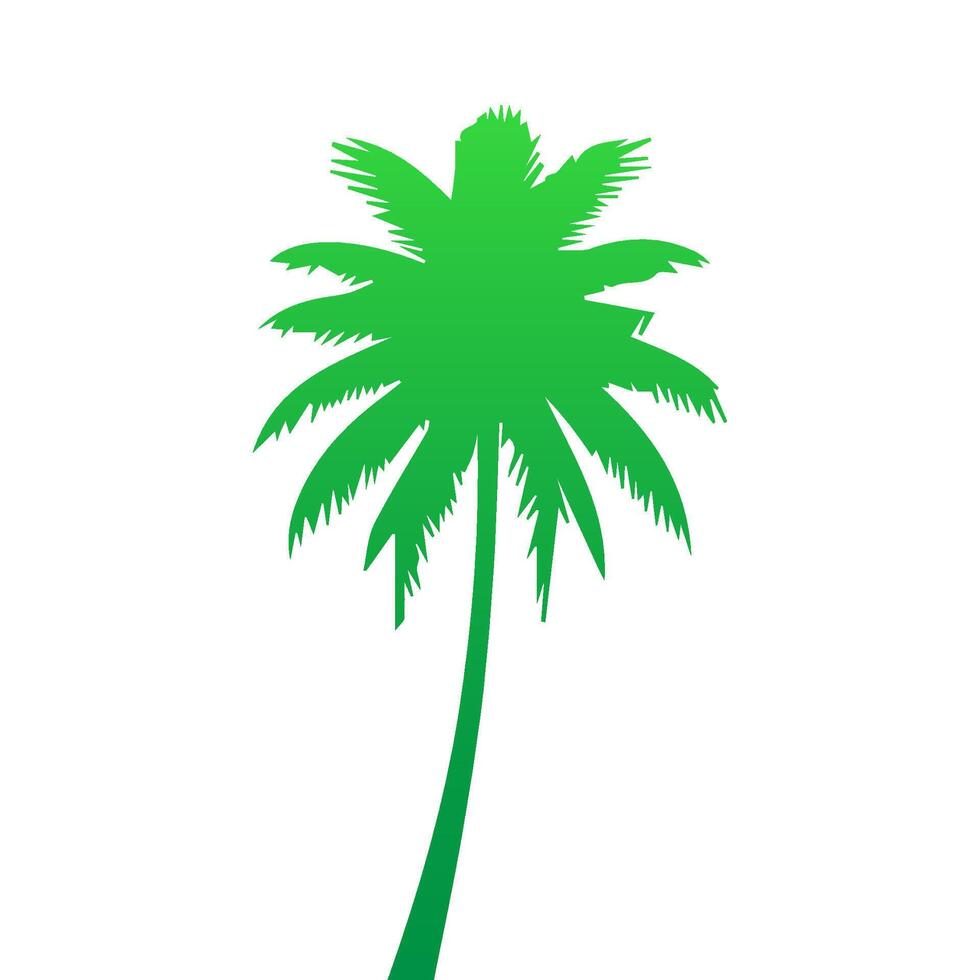 Green palm tree isolated on white background. Palm silhouette vector