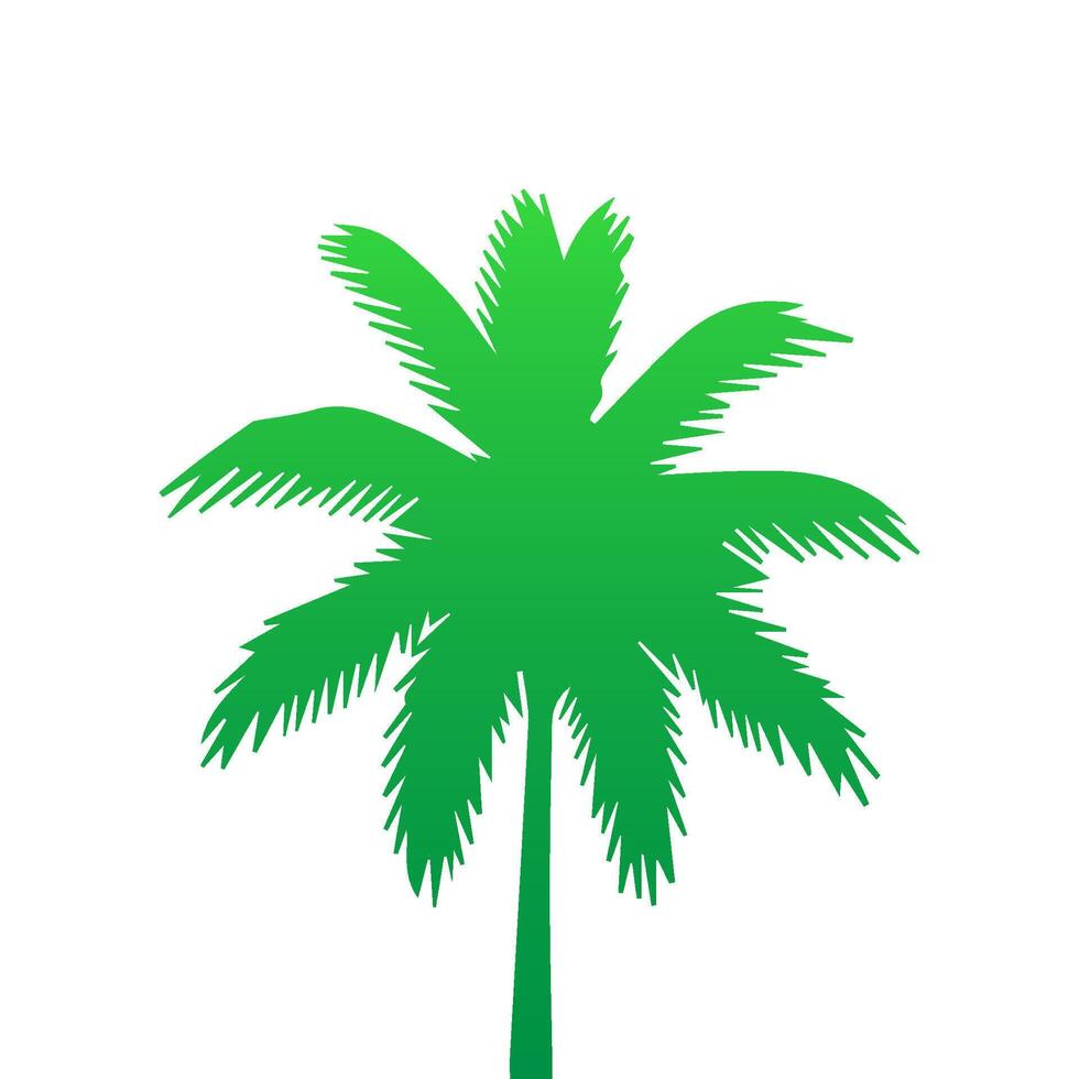 Green palm tree isolated on white background. Palm silhouette vector