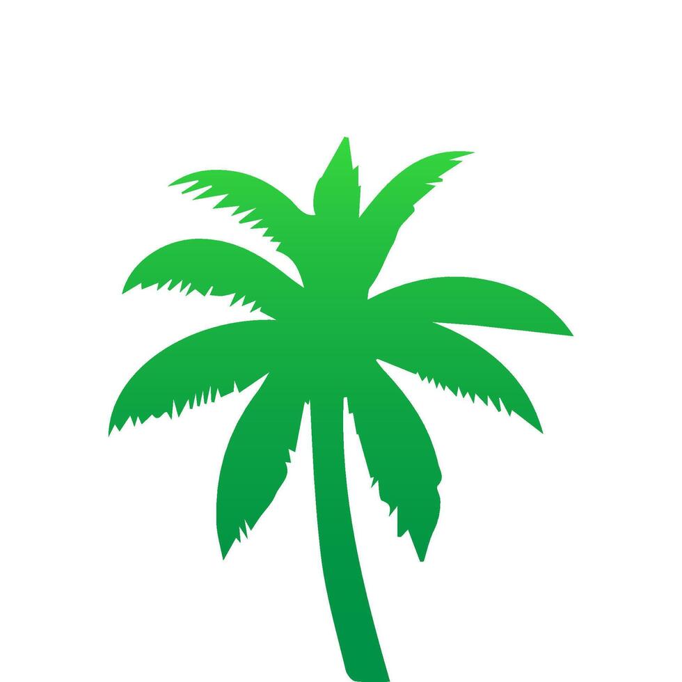 Green palm tree isolated on white background. Palm silhouette vector