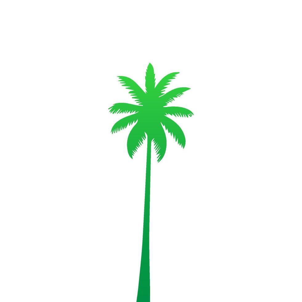 Green palm tree isolated on white background. Palm silhouette vector