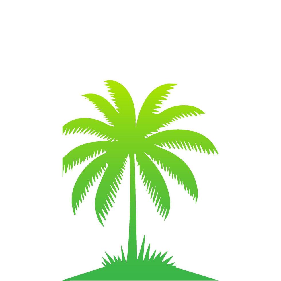 Green palm tree isolated on white background. Palm silhouette vector