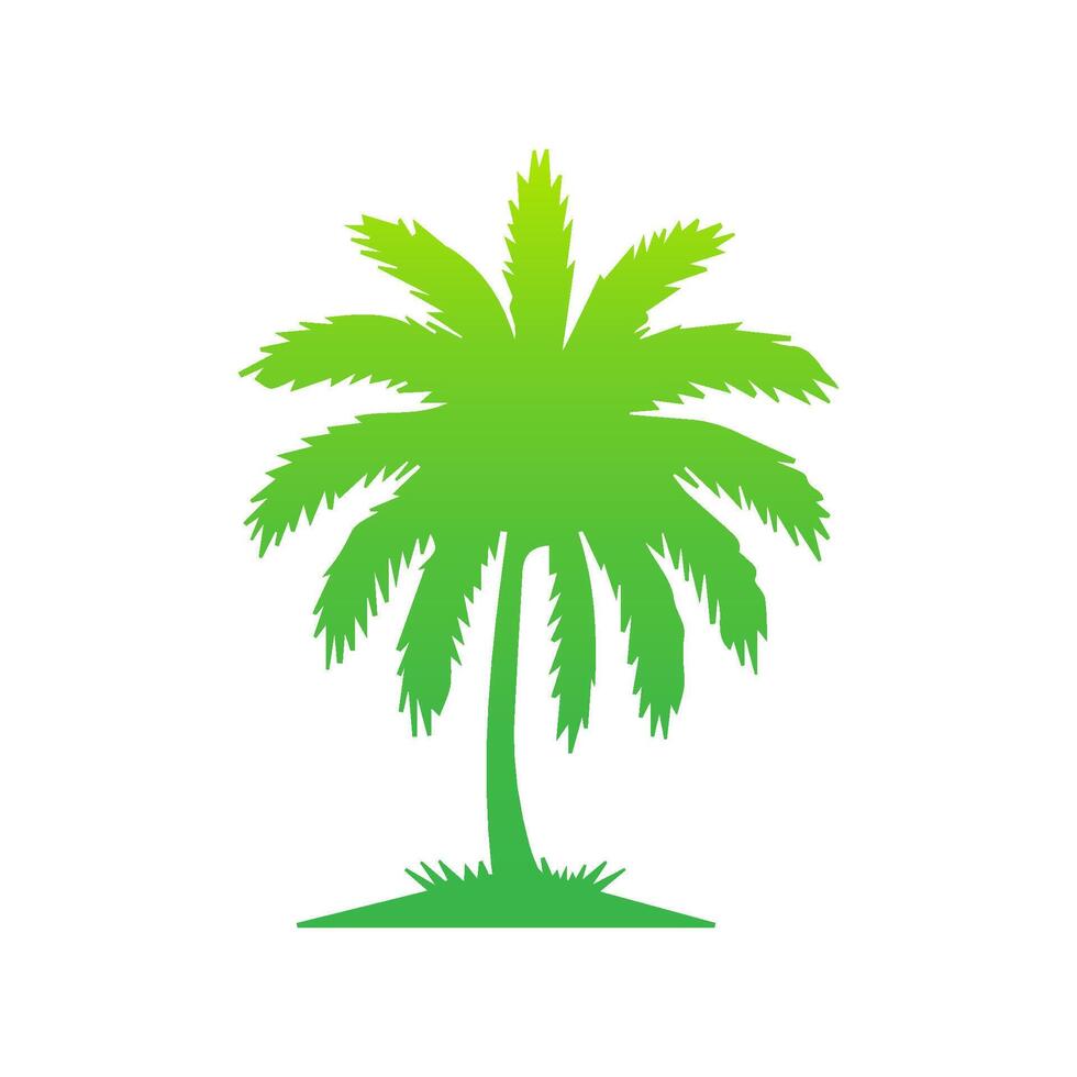 Green palm tree isolated on white background. Palm silhouette vector
