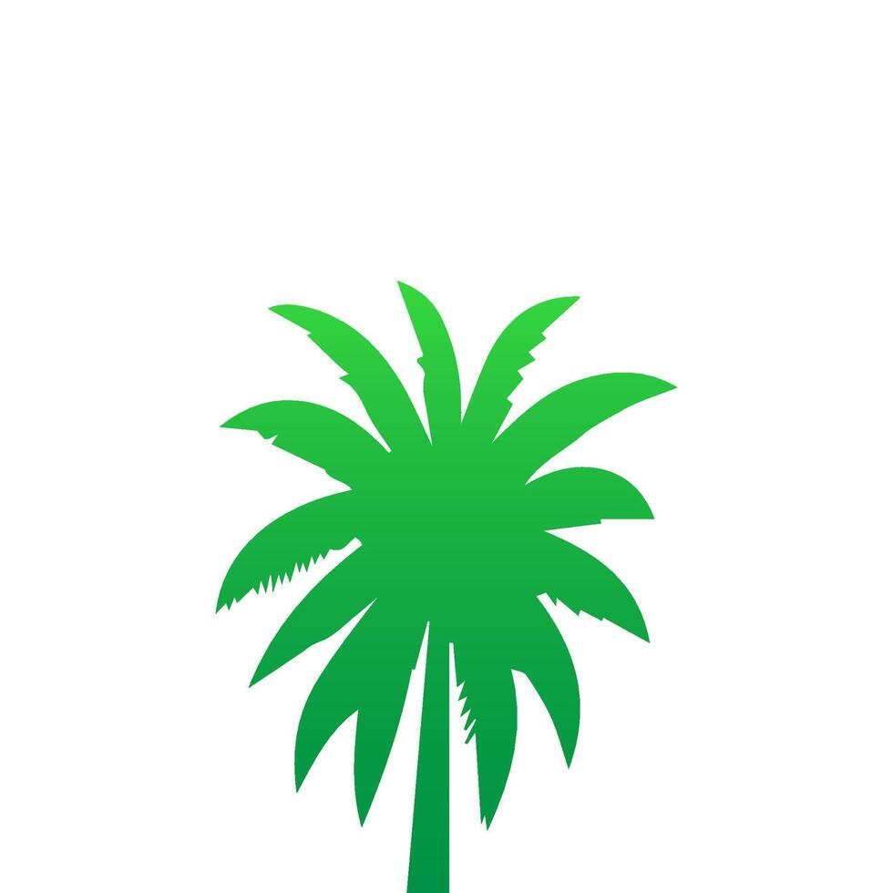 Green palm tree isolated on white background. Palm silhouette vector