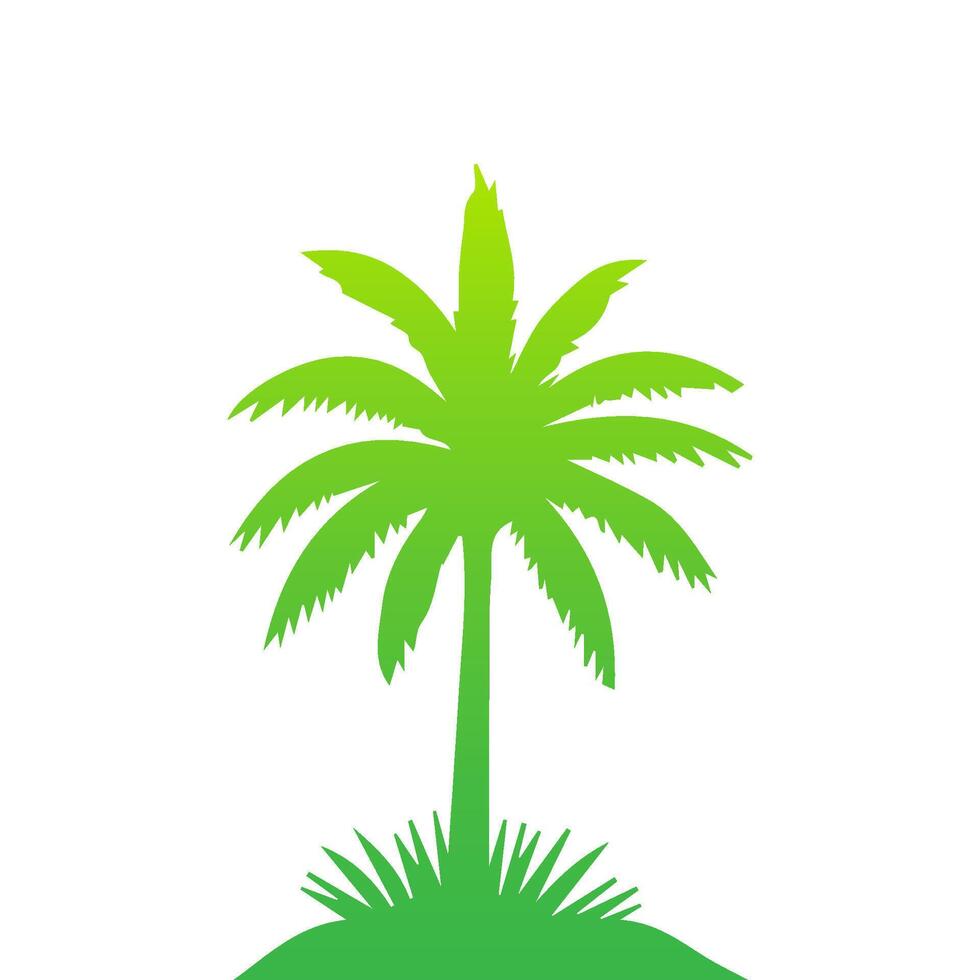 Green palm tree isolated on white background. Palm silhouette vector
