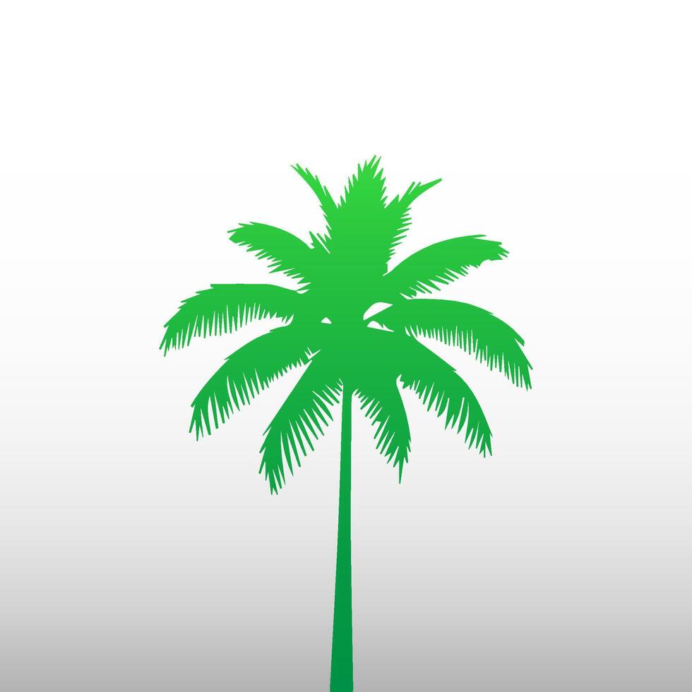 Green palm tree isolated on white background. Palm silhouette vector