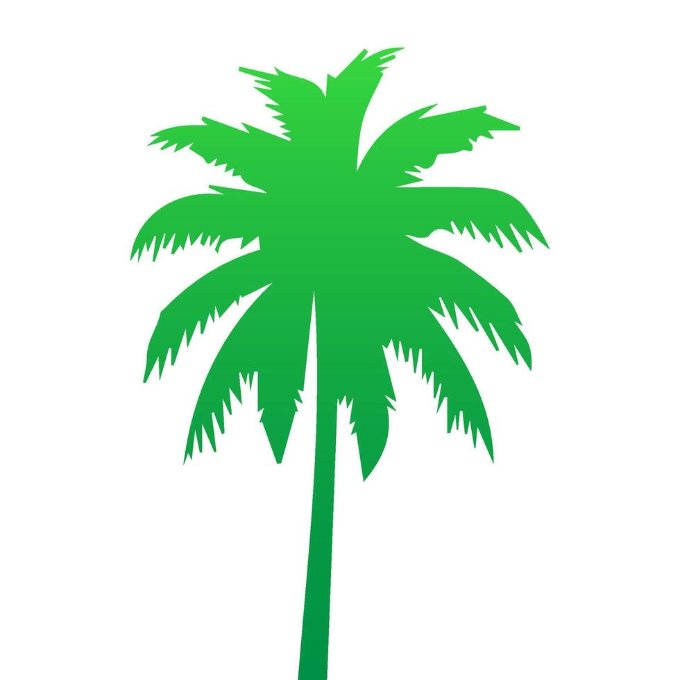 Green palm tree isolated on white background. Palm silhouette vector
