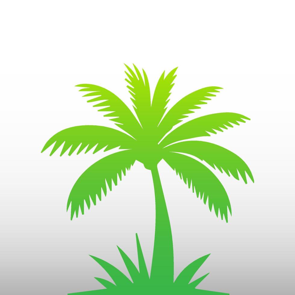 Green palm tree isolated on white background. Palm silhouette vector