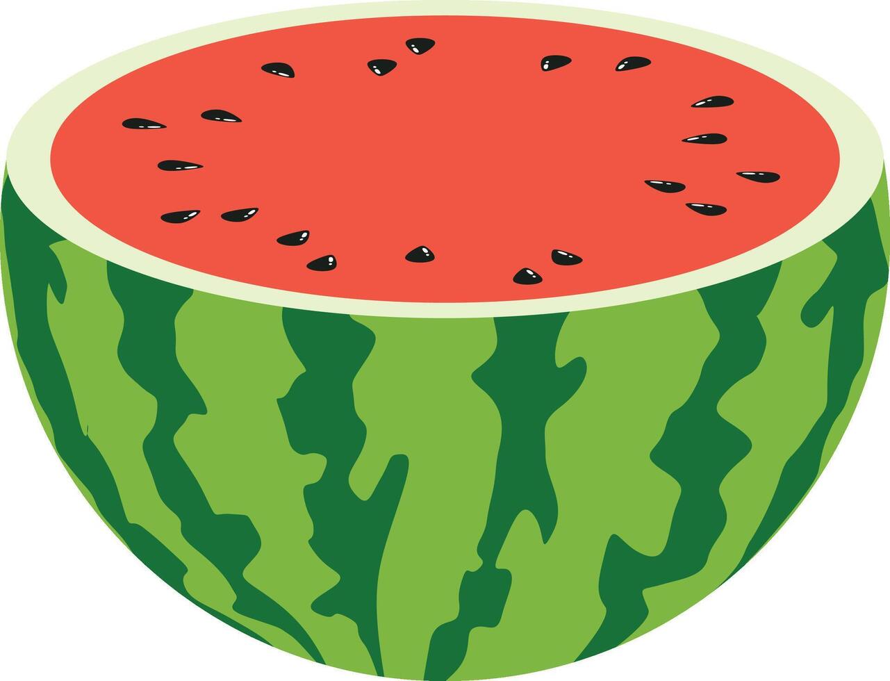 Fresh half of watermelon isolated vector