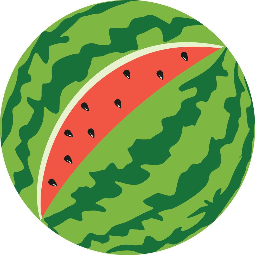 Fresh watermelon with cut hole vector